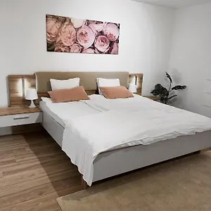 Apartment Eine Schoene Im Herzen Von Basel., Basel